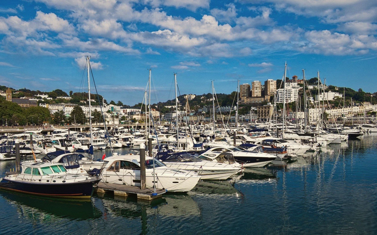 A wide photo of Torbay — the palm-lined seafront and harbour
